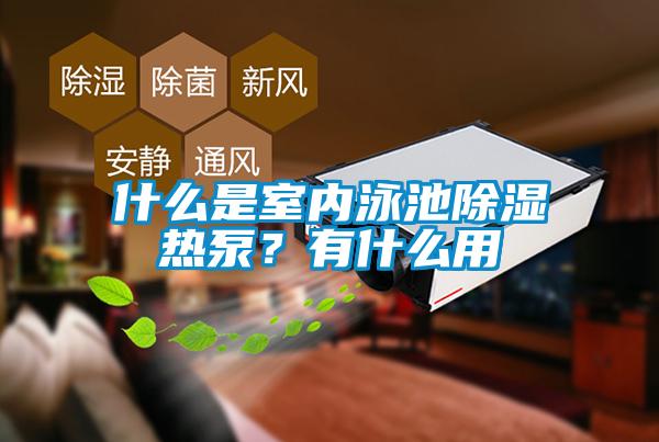 什么是室內泳池除濕熱泵？有什么用