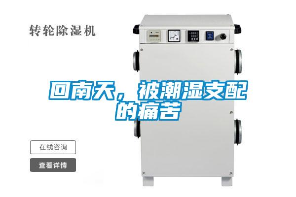 回南天，被潮濕支配的痛苦