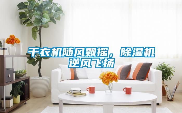 干衣機隨風飄搖，除濕機逆風飛揚