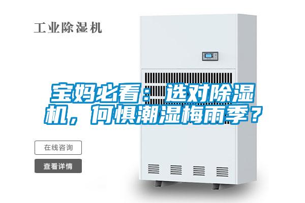寶媽必看：選對除濕機(jī)，何懼潮濕梅雨季？