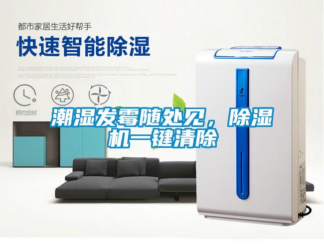 潮濕發(fā)霉隨處見，除濕機一鍵清除