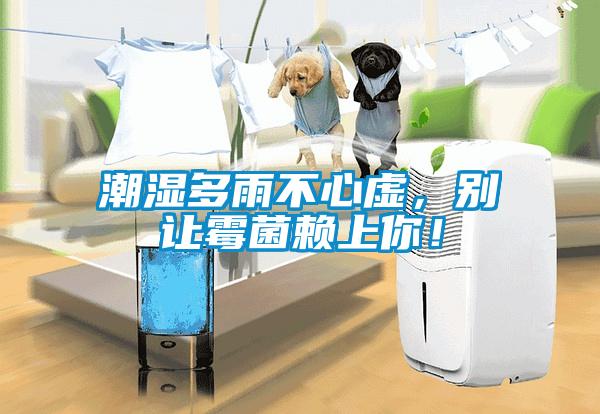 潮濕多雨不心虛，別讓霉菌賴上你！