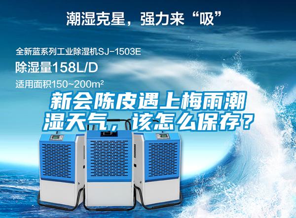 新會(huì)陳皮遇上梅雨潮濕天氣，該怎么保存？