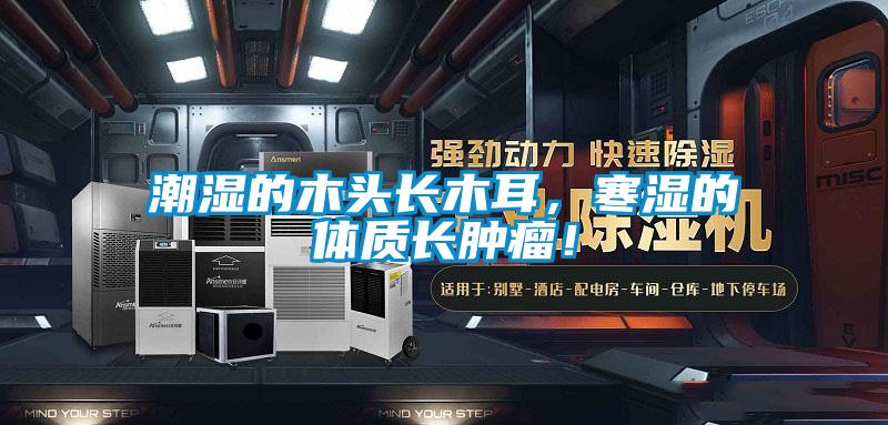 潮濕的木頭長木耳，寒濕的體質(zhì)長腫瘤！