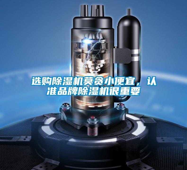 選購除濕機(jī)莫貪小便宜，認(rèn)準(zhǔn)品牌除濕機(jī)很重要