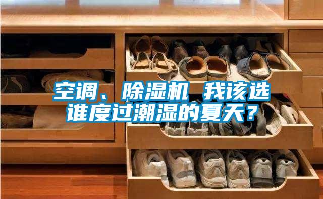 空調、除濕機 我該選誰度過潮濕的夏天？