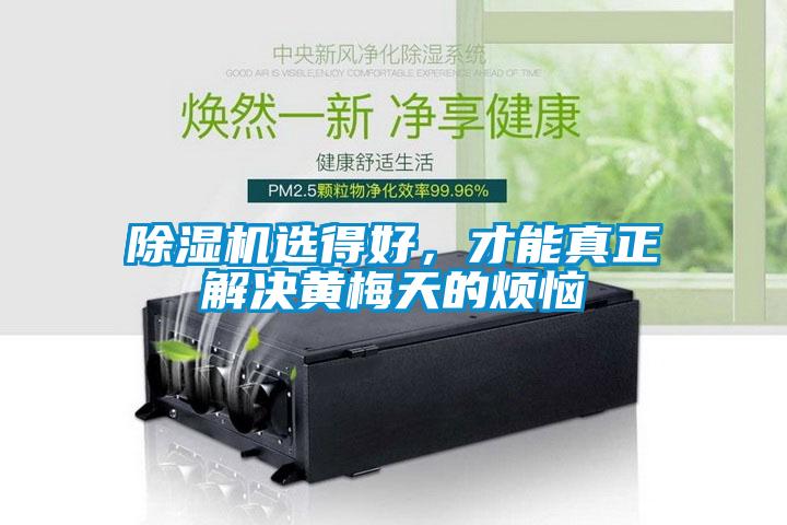除濕機選得好，才能真正解決黃梅天的煩惱