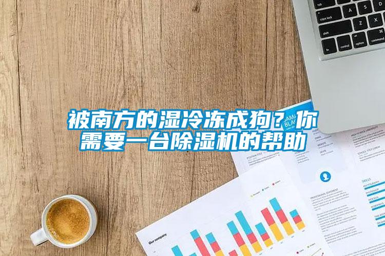 被南方的濕冷凍成狗？你需要一臺除濕機的幫助