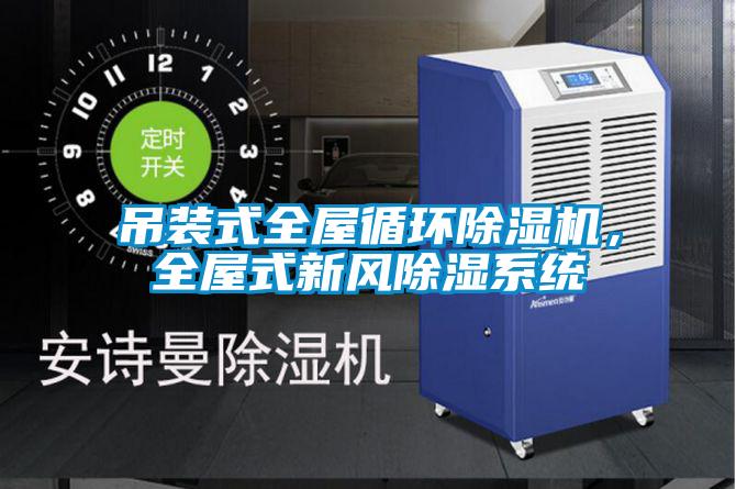 吊裝式全屋循環(huán)除濕機，全屋式新風除濕系統(tǒng)
