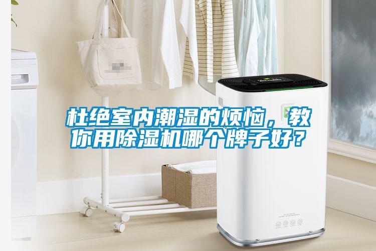 杜絕室內潮濕的煩惱，教你用除濕機哪個牌子好？