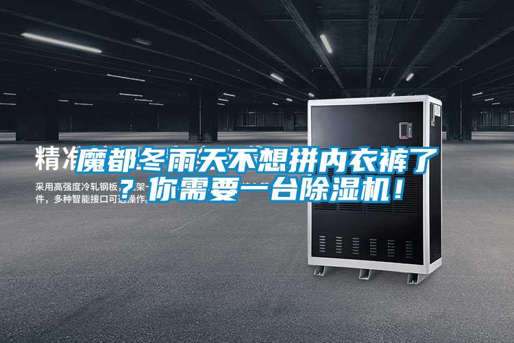 魔都冬雨天不想拼內衣褲了？你需要一臺除濕機！