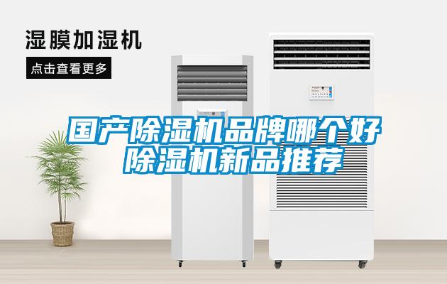 國產(chǎn)除濕機(jī)品牌哪個(gè)好 除濕機(jī)新品推薦