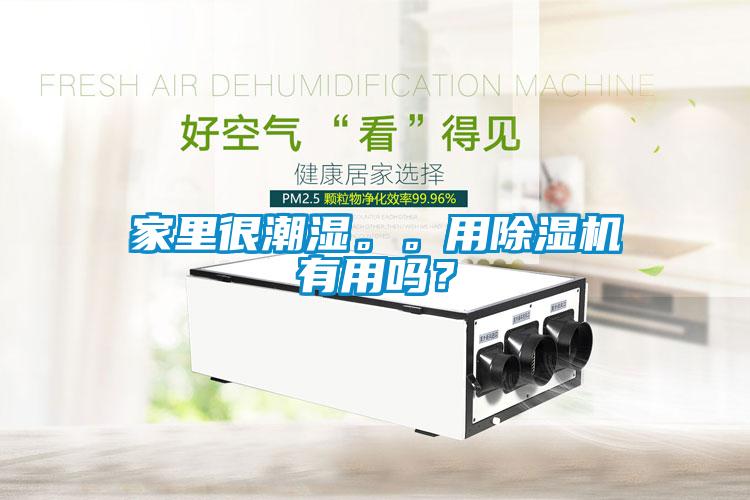 家里很潮濕。。用除濕機有用嗎？