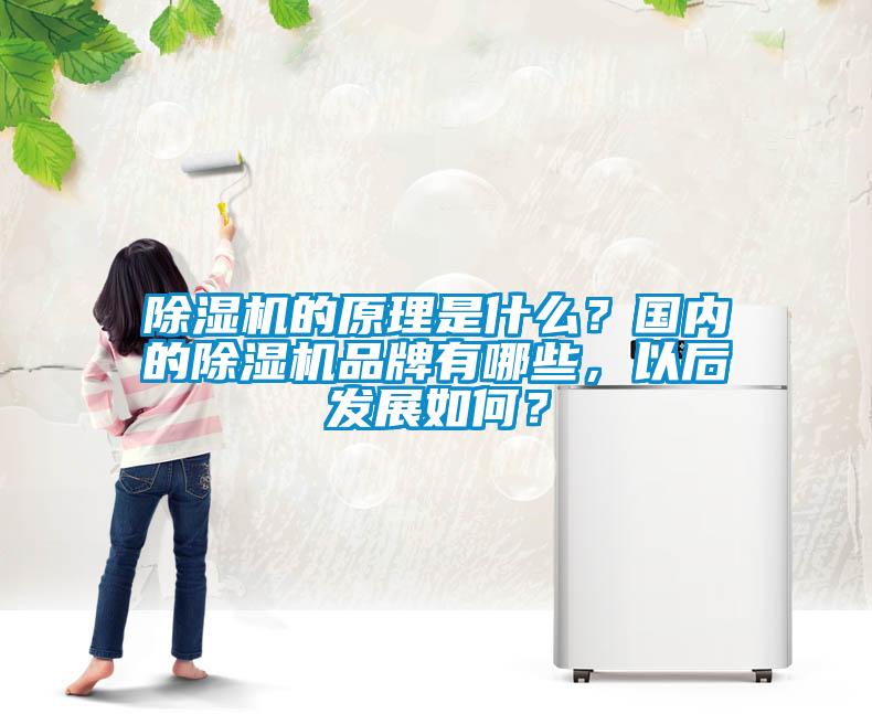 除濕機的原理是什么？國內的除濕機品牌有哪些，以后發展如何？