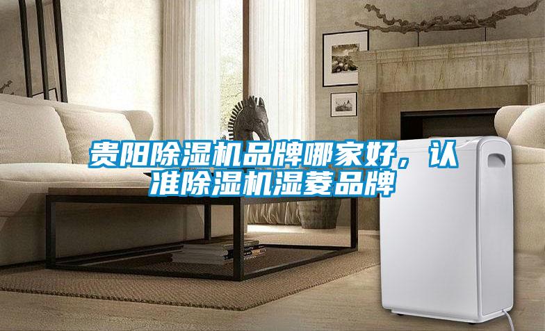貴陽除濕機品牌哪家好，認準除濕機濕菱品牌