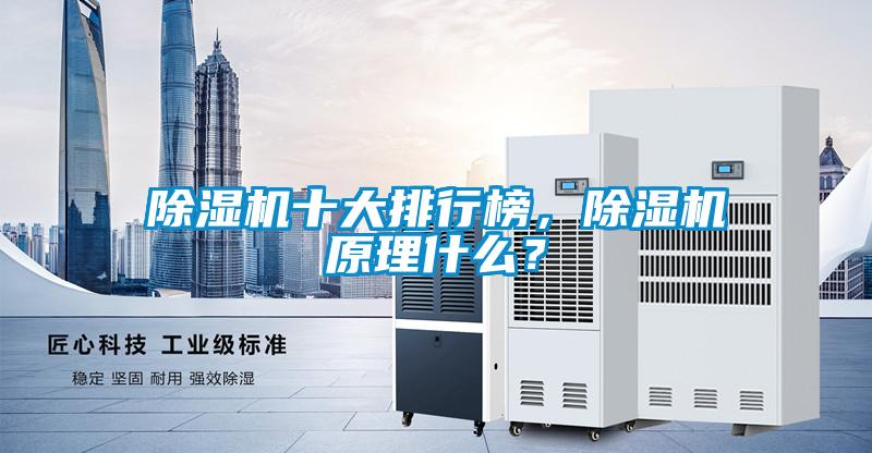 除濕機十大排行榜，除濕機原理什么？