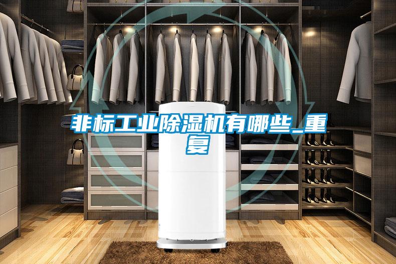 非標工業(yè)除濕機有哪些_重復(fù)