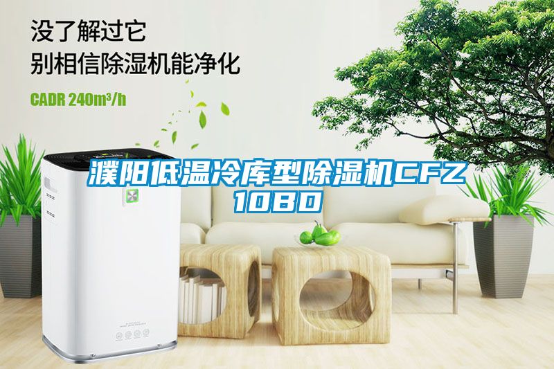 濮陽低溫冷庫(kù)型除濕機(jī)CFZ10BD
