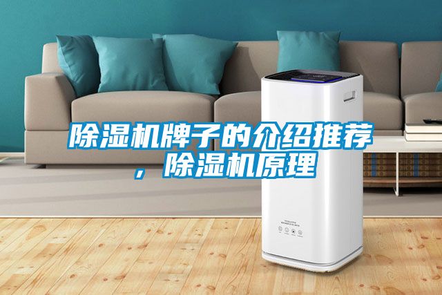 除濕機牌子的介紹推薦，除濕機原理