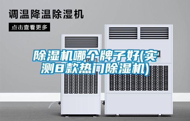 除濕機(jī)哪個牌子好(實(shí)測8款熱門除濕機(jī))