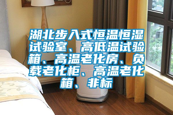 湖北步入式恒溫恒濕試驗室、高低溫試驗箱、高溫老化房、負載老化柜、高溫老化箱、非標