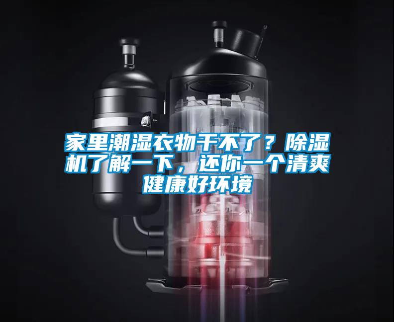家里潮濕衣物干不了？除濕機了解一下，還你一個清爽健康好環境