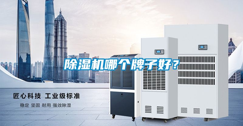 除濕機(jī)哪個(gè)牌子好？