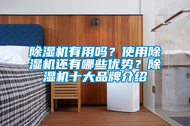 除濕機有用嗎？使用除濕機還有哪些優(yōu)勢？除濕機十大品牌介紹