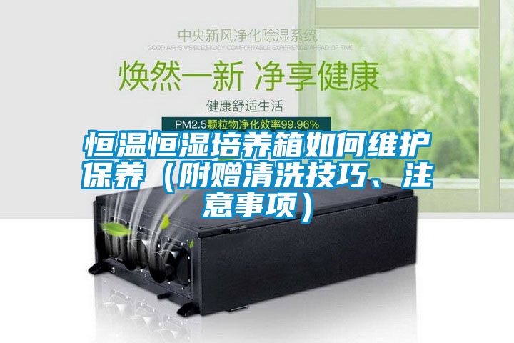 恒溫恒濕培養箱如何維護保養（附贈清洗技巧、注意事項）