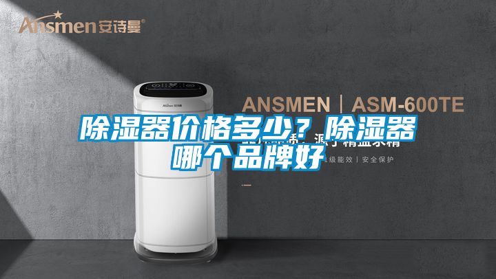 除濕器價格多少？除濕器哪個品牌好