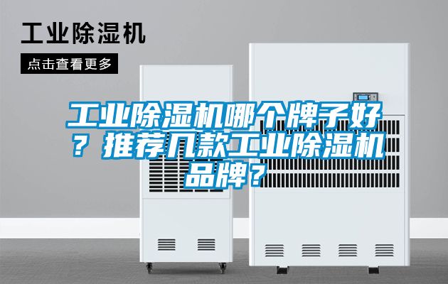 工業(yè)除濕機(jī)哪個(gè)牌子好？推薦幾款工業(yè)除濕機(jī)品牌？