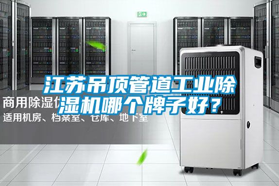 江蘇吊頂管道工業(yè)除濕機(jī)哪個(gè)牌子好？