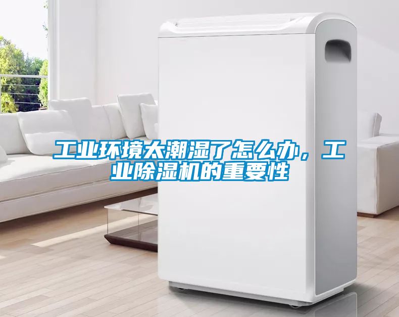 工業環境太潮濕了怎么辦，工業除濕機的重要性