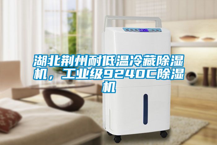 湖北荊州耐低溫冷藏除濕機，工業級9240C除濕機